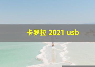 卡罗拉 2021 usb